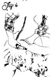 Figure 6: When it comes to sheep, get on the shearer's circuit or learn to do the fleecing chores yourself.